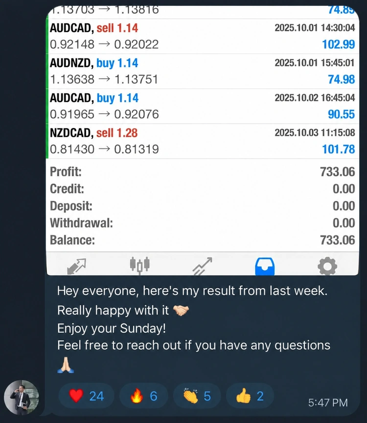 Trading result $733